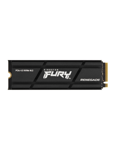 Kingston Technology 2000G RENEGADE PCIe 4.0 NVMe SSD W  Dissipatore di calore