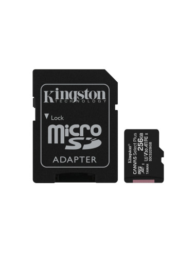 Kingston Technology Scheda micSDXC Canvas Select Plus 100R A1 C10 da 256GB + adattatore