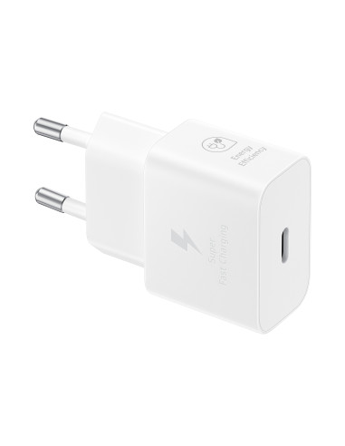 Samsung Caricabatterie Super Fast Charging (25W) con cavo da USB Type-C a USB Type-C