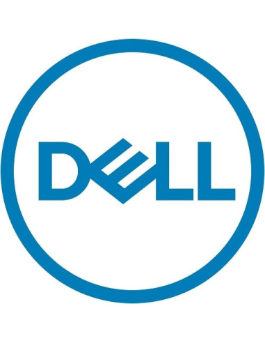 DELL 161-BBPH disco rigido interno 4 TB 7200 Giri min 3.5" NL-SAS