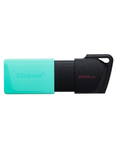 Kingston Technology DataTraveler 256GB USB3.2 Gen1 Exodia M (Nero + Verde ottanio)