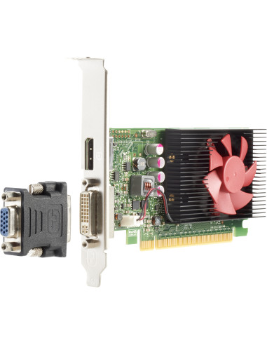 HP Scheda NVIDIA GT 730 DP da 2 GB